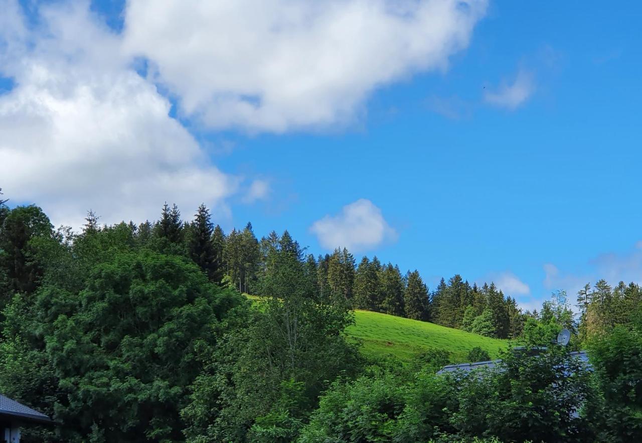 Ferienwohnung Hitz Hinterzarten Exterior foto